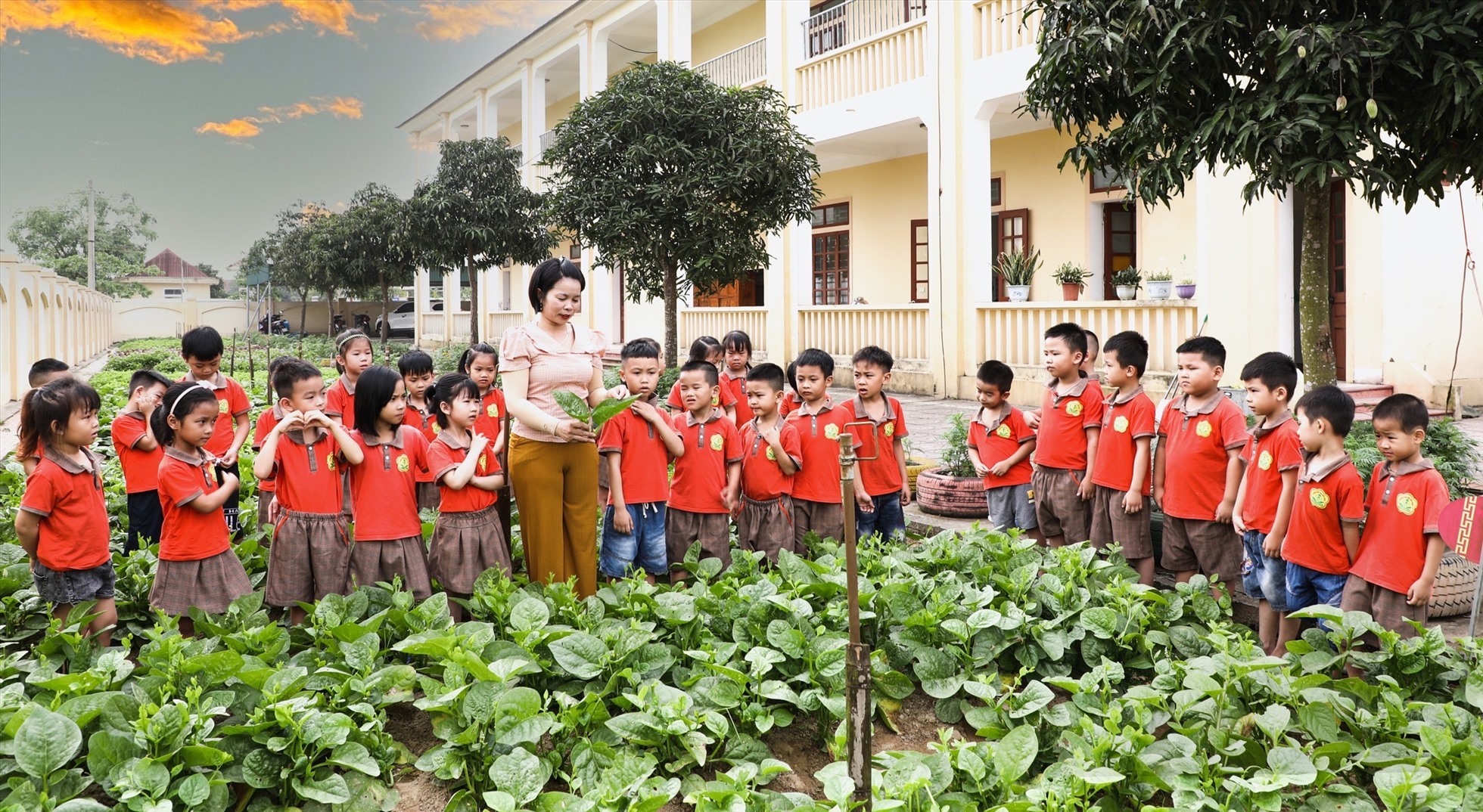Một buổi học tại vườn rau thực nghiệm ở trường mầm non xã Nghi Hoa huyện Nghi Lộc Nghệ An. Ảnh Hồng Sơn