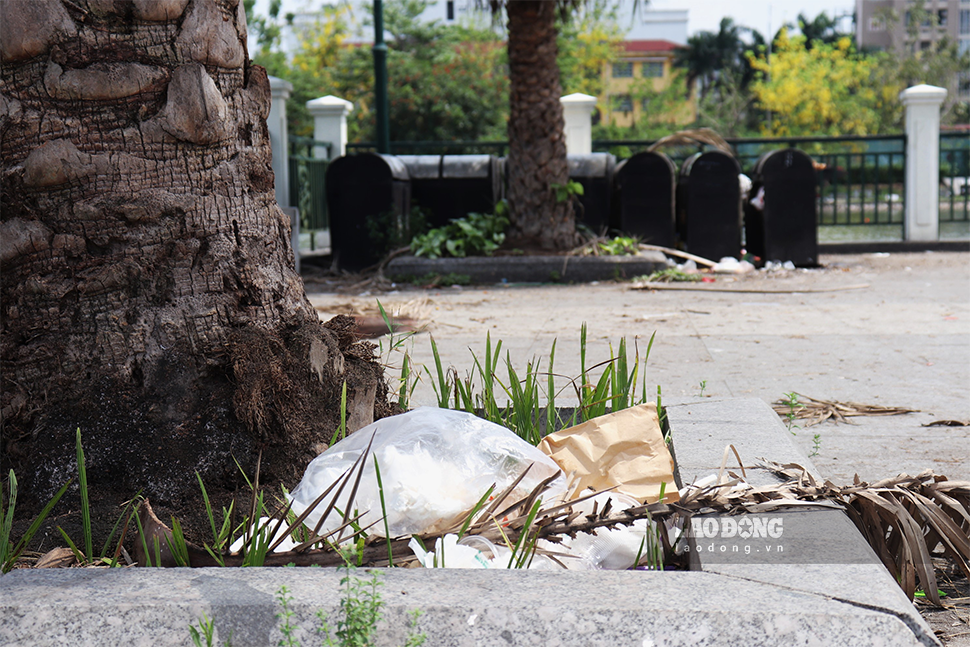 Nhiều gốc cây tại công viên trở thành nơi chứa rác thay cho thùng rác.