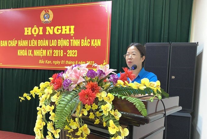 Bà Trần Thị Thu Hương - Phó Chủ tịch Liên đoàn Lao động tỉnh phát biểu nhận nhiệm vụ. Ảnh: Ngọc Liêm