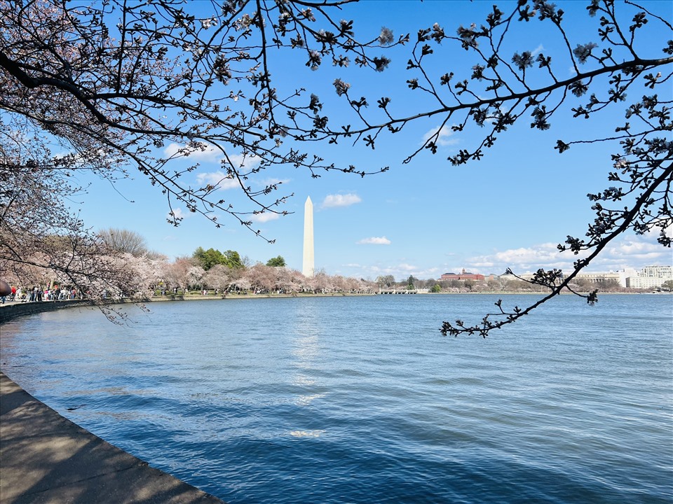 Hồ Tidal Basin.