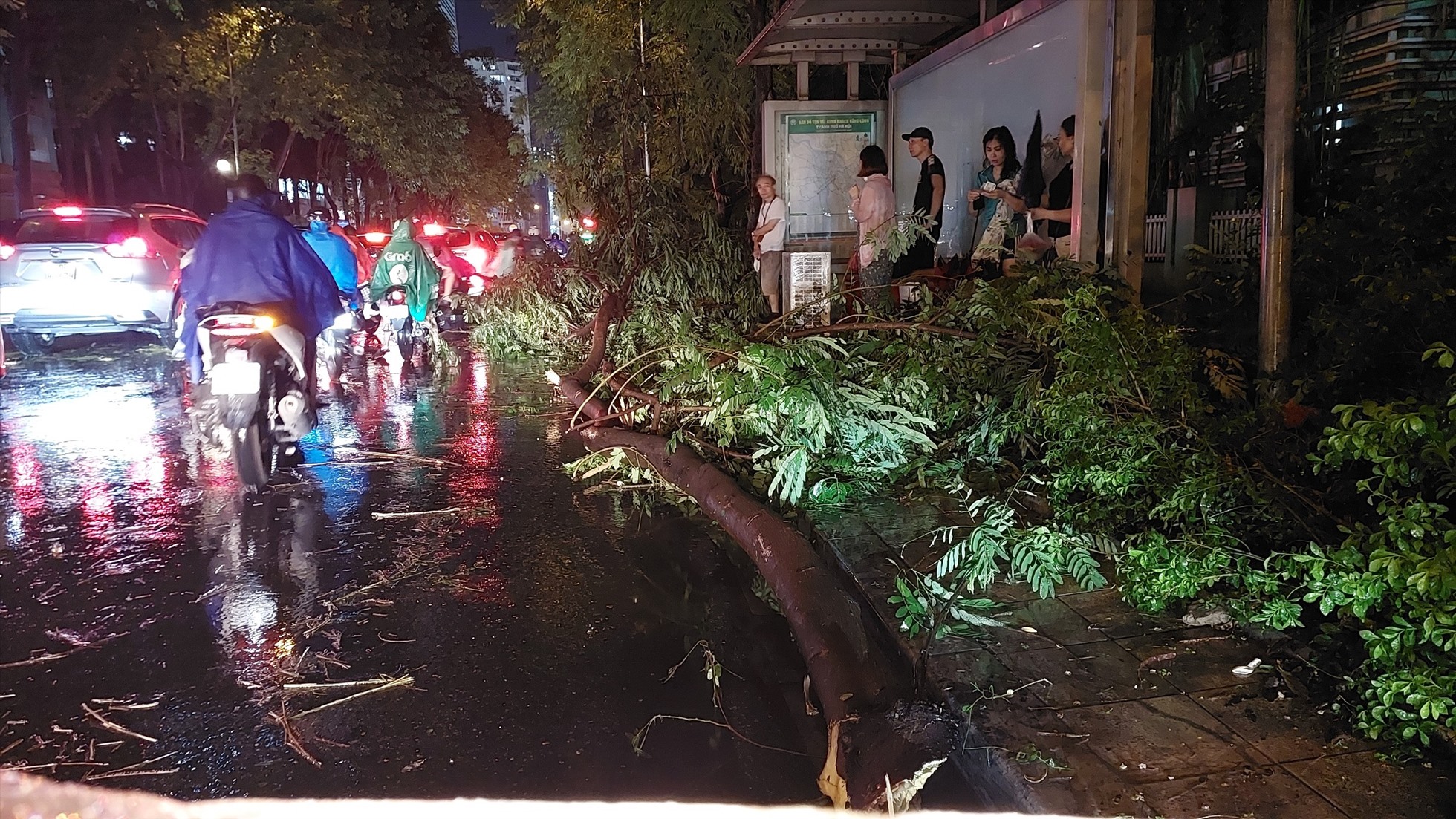 1 nhánh cây lớn trên đường Hoàng Minh Giám gãy đổ.