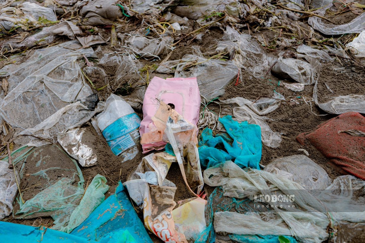 Phần lớn rác thải là túi ni lông bị cát vùi lấp.