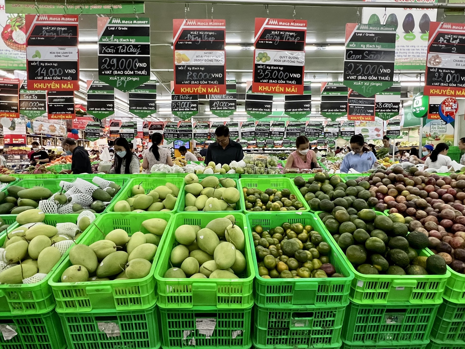 Khách hàng tha hồ chọn mua các loại trái cây với mức giá chỉ từ 14.000 đồng/kg.