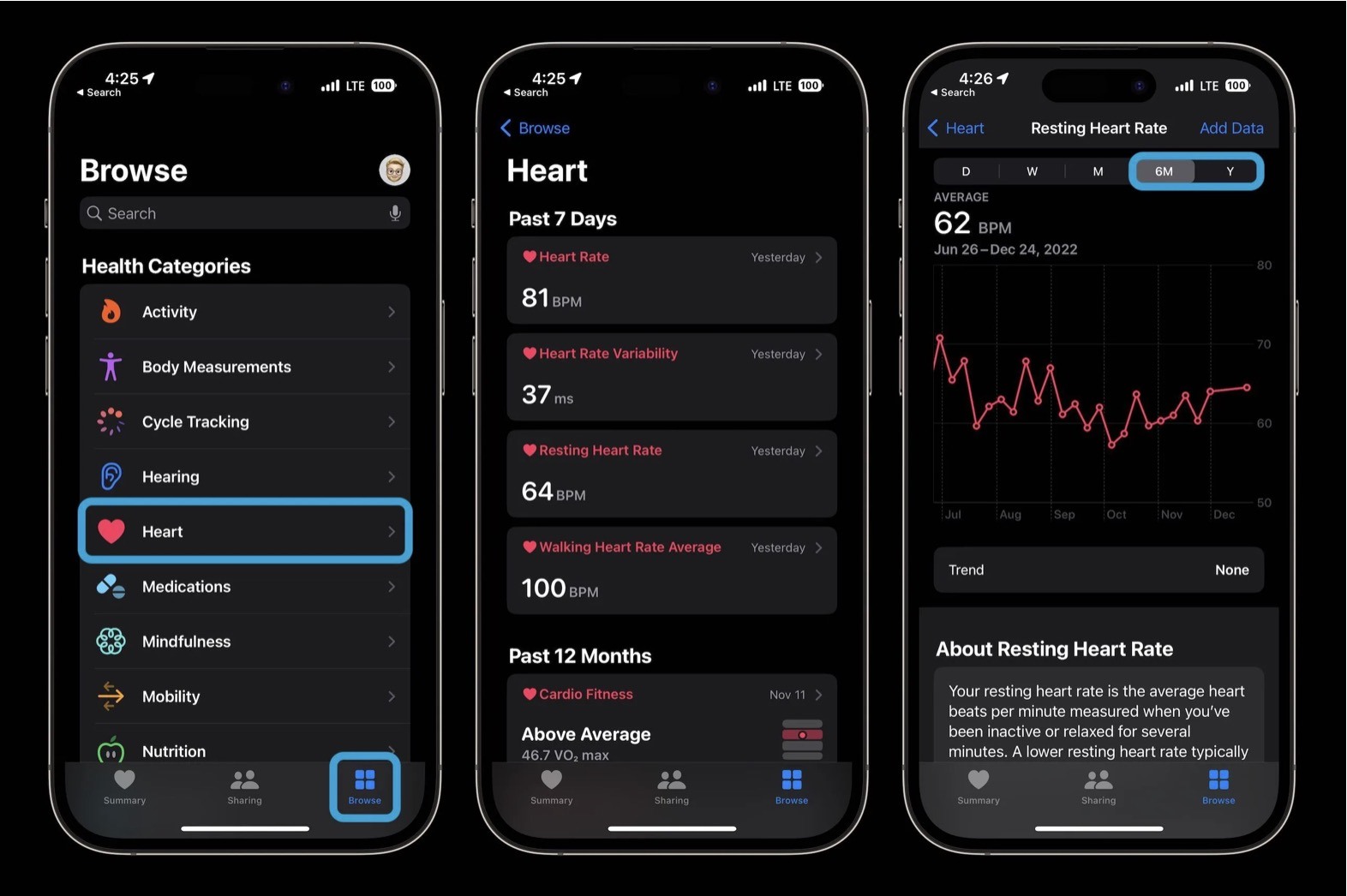 Kiểm tra lịch sử nhịp tim do Apple Watch ghi lại trên iPhone sẽ cung cấp cho người dùng nhiều dữ liệu nhất.