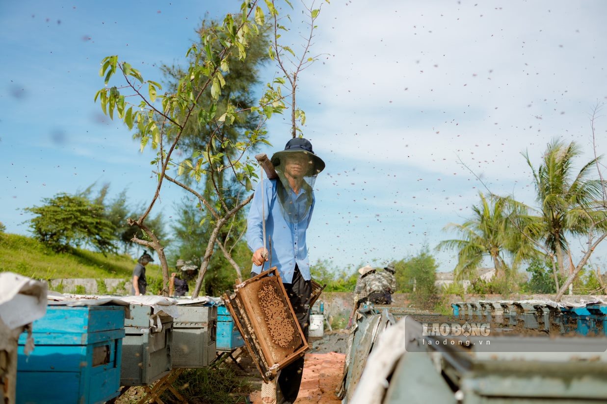 Cầu ong (hay còn gọi là khung ong) là nơi trữ mật sau khi được người thợ lôi ra từ thùng ong sẽ mang đi quay lấy mật.
