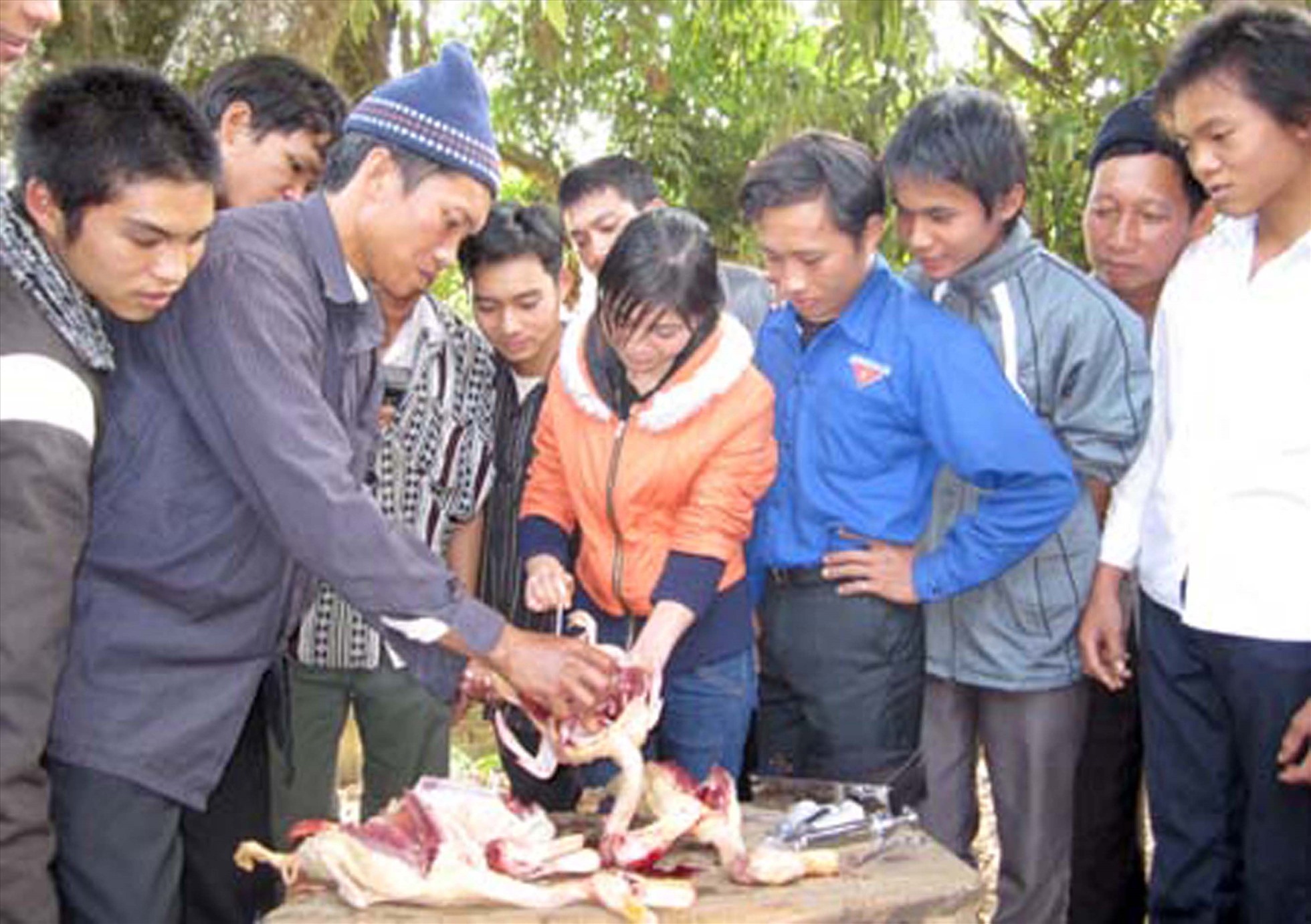 Giờ thực hành lớp dạy nghề chăn nuôi thú y huyện Quản Bạ. Ảnh: Văn Phú.