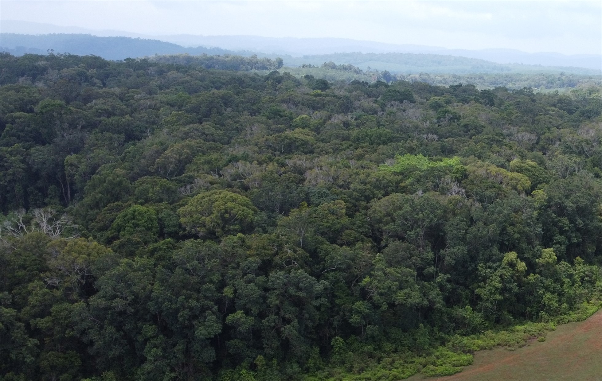 Nhìn từ trên cao xuống vùng đất còn nhiều rừng nhất ở Bình Phước - 5