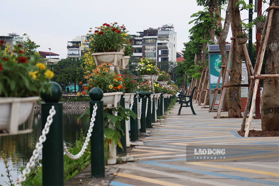 Với phố Trịnh Công Sơn, một nửa bên công viên sẽ là nơi đi dạo của người dân (do không có nhà dân), nửa đối diện là nơi buôn bán kinh doanh.