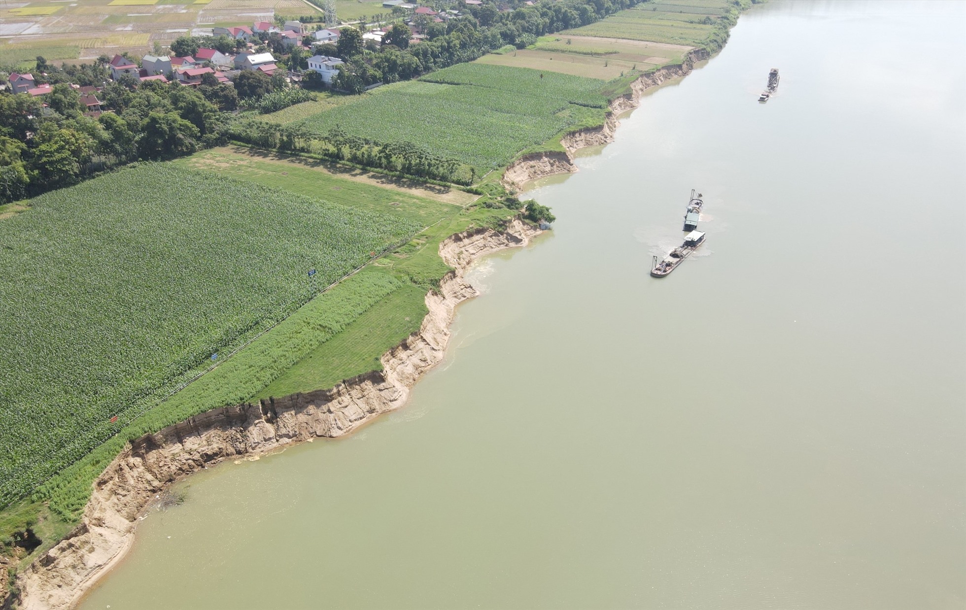 Tình trạng sạt lở bờ sông Mã khá nghiêm trọng, tại xã Vĩnh Hòa, huyện Vĩnh Lộc, tỉnh Thanh Hóa. Ảnh: Minh Hoàng
