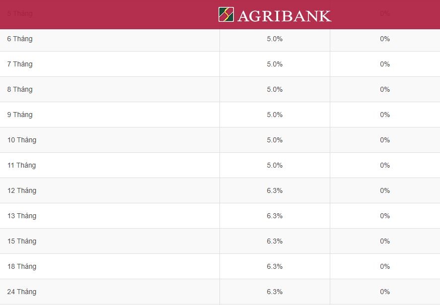 Lãi suất Agribank ở ngưỡng 6,3% kì hạn 18 tháng. Ảnh chụp màn hình 15h ngày 13.7.2023.