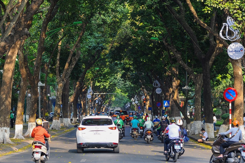Đường Phan Đình Phùng - con đường được mệnh danh “lãng mạn nhất” thủ đô với những hàng cây cổ thụ xanh rợp bóng. Ảnh: Hữu Thi