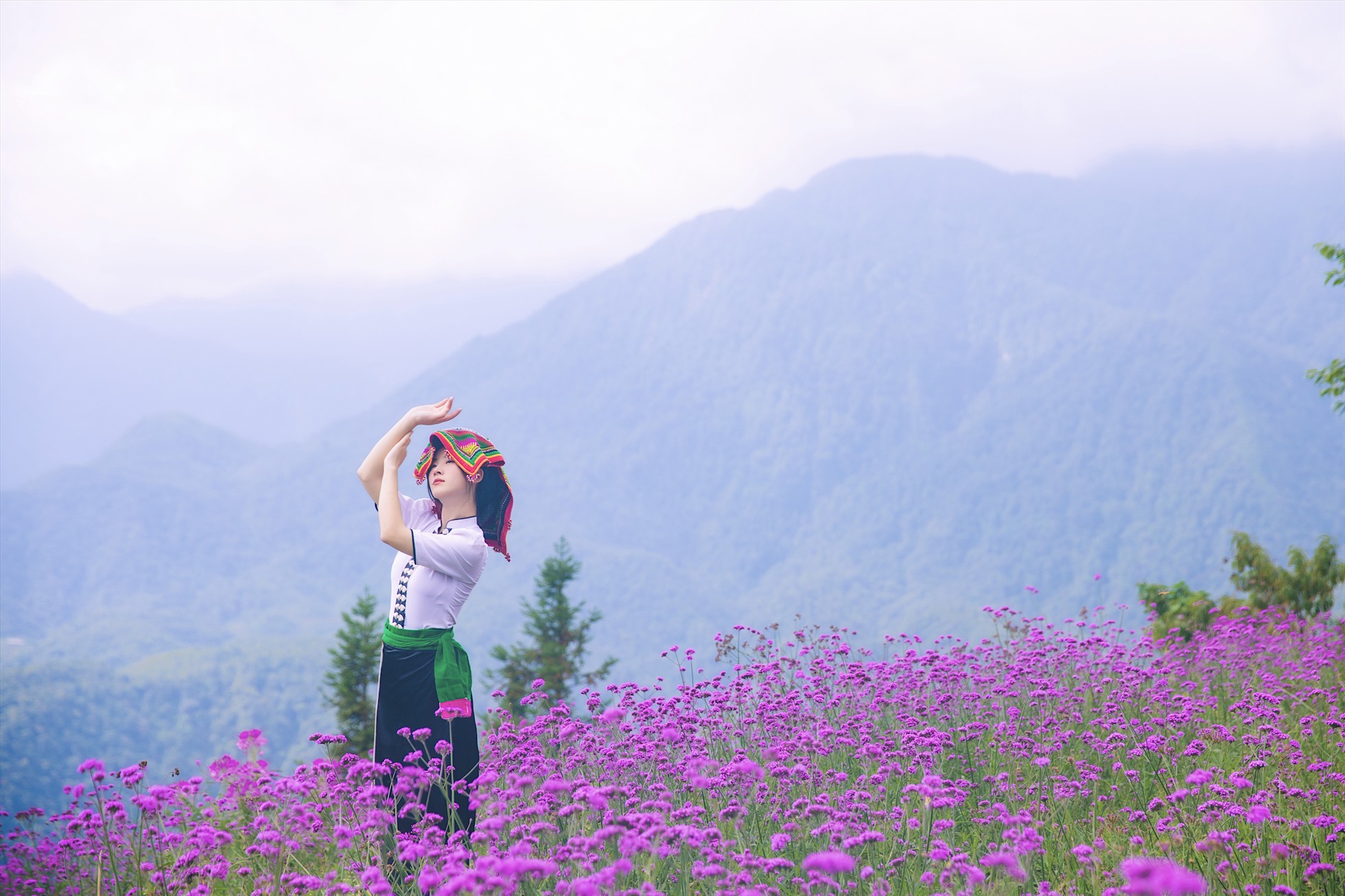 Cánh đồng mã tiên thảo đẹp mê mải là điểm nhấn mới lạ ở Fansipan, bên cạnh hàng loạt trải nghiệm ấn tượng và giàu bản sắc Tây Bắc.