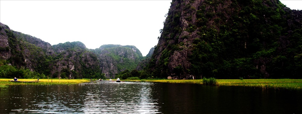 Ruộng lúa hai bên sông.