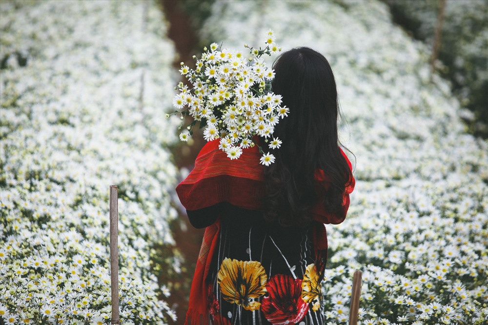 Những thiếu nữ Hà thành cũng hoà mình trong mùa hoạ mi bằng việc thả hồn theo những vườn hoa giữa tiết trời lạnh của Thủ đô.