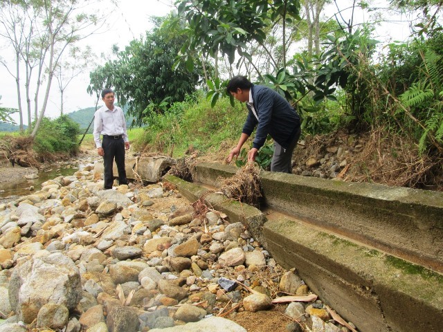 Chú thích ảnh nhập vào đây. Ảnh đang chờ chú thích thì bỏ trống ô này.