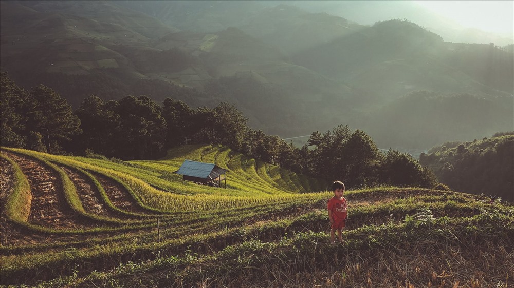 Mù Cang Chải là một huyện vùng cao của tỉnh Yên Bái, nằm Cách Hà Nội gần 300 km về hướng Tây Bắc, Mù Cang Chải, Yên Bái là điểm đến ưa thích của người yêu thiên nhiên và thích thưởng ngoạn không khí vùng cao.