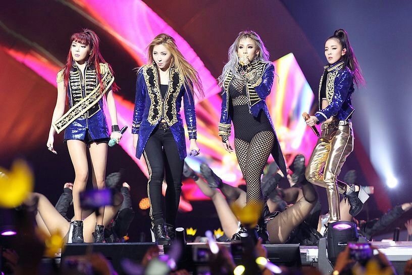 Từng là nhóm nhạc đình đám thuộc công ty chủ quản YG Entertainment, cùng với đàn anh Big Bang, 2NE1 đã dần trở thành nhóm nhạc nữ được yêu thích nhất trên toàn châu Á. Có một thời gian bất cứ bài hát nào của 2NE1 cũng trở thành hit: Fire, I don't care, I'm The Best...