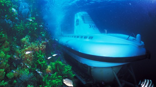Seogwipo Submarine – Một trải nghiệm mà du khách không nên bỏ qua khi đến Jeju bởi những chuyến tàu ngầm sẽ đưa bạn đi thám hiểm thế giới đại dương.