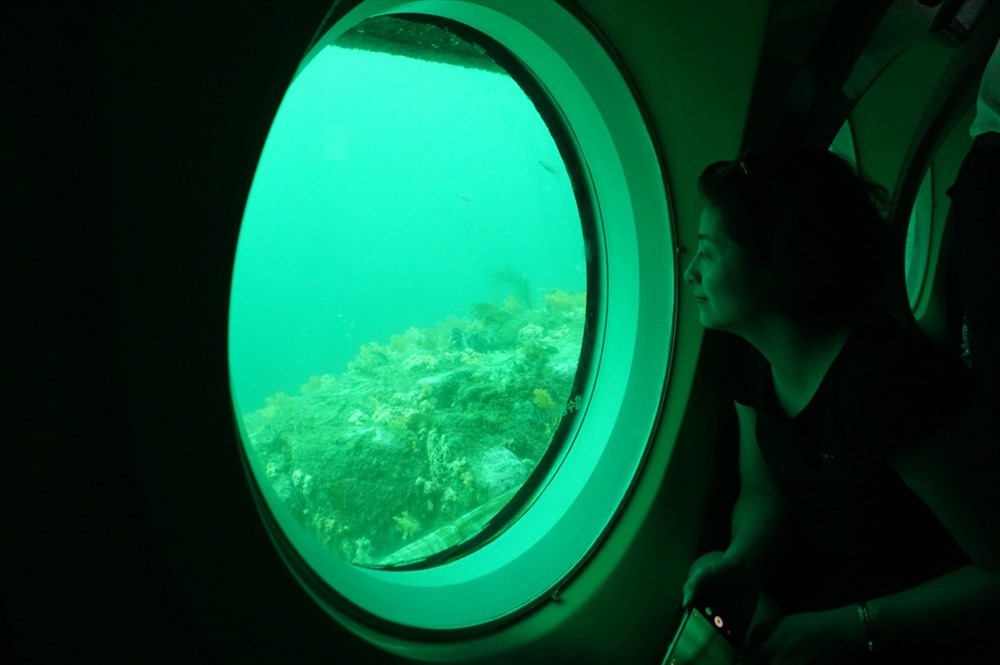 Qua cửa kính tàu ngầm, du khách được chiêm ngưỡng thế giới thực vật đa dạng, thích thú với những màn biểu diễn của thợ lặn, và thậm chí sửng sốt trước chiếc tàu nằm sâu dưới đáy biển.