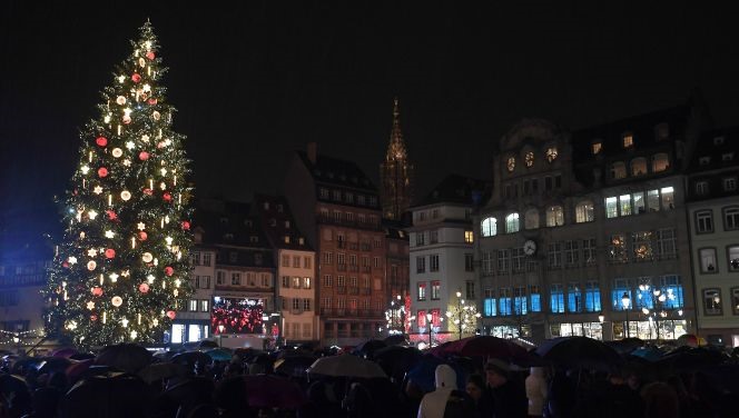  Cây ở Strasbourg là một đặc trưng của thị trường Giáng sinh của thành phố, được cho cũng là một trong những cây giáng sinh lớn nhất thế giới và nằm trong một khu chợ Giáng sinh lâu đời nhất ở Pháp.
