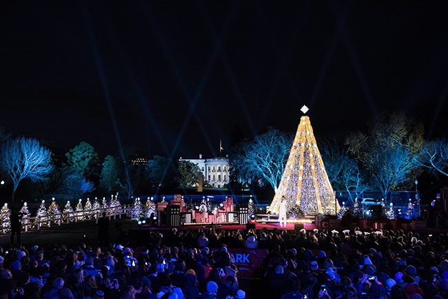 Các nhà quý tộc thuộc hoàng gia cũng giống như tất cả mọi người, đều thích chiêm ngưỡng một cây thông Noel vào dịp giáng sinh. Nữ hoàng Anh có một cây thông được trang trí lộng lẫy với vô số đèn màu lấp lánh tại lâu đài Windsor.