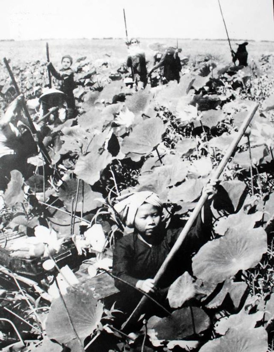 Nữ dân công hỏa tuyến miền Tây Nam Bộ vận chuyển vũ khí về ém ở ven đô Sài Gòn chuẩn bị cho Mậu Thân 1968. Ảnh: Tư liệu