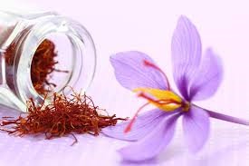 Nhụy hoa nghệ tây Saffron có rất nhiều công dụng hữu ích cho sức khỏe và sắc đẹp, thế nhưng tại Việt Nam, nhưng vẫn còn là một sản phẩm quá mới mẻ. Ảnh minh họa