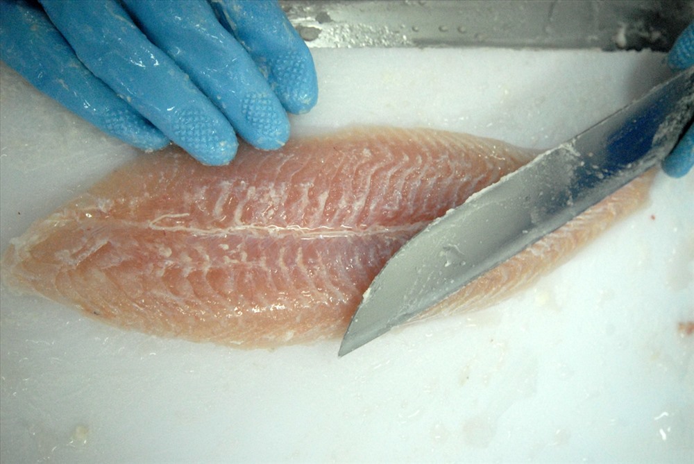 Sử dụng dao fille cá tra.