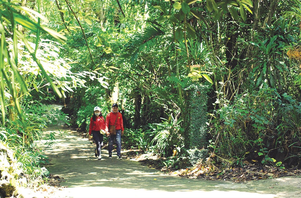 Du khách lang thang trong khu bảo tồn lan rừng lớn nhất Việt Nam.
