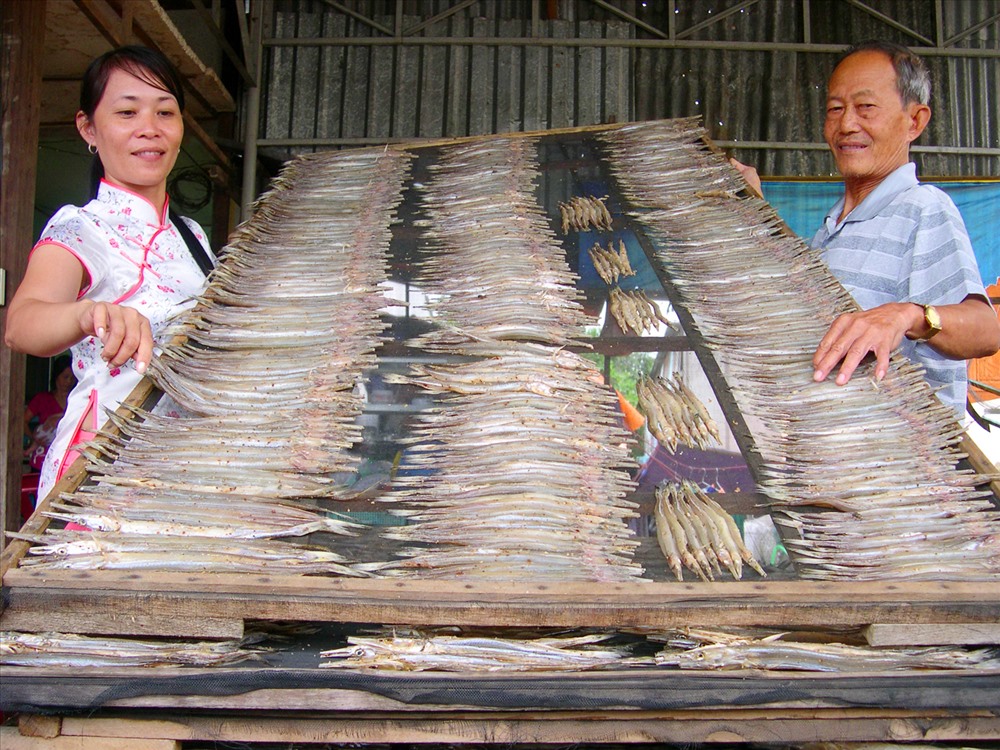 Cá lìm kìm sống ở vùng nước lợ được thu mua về làm khô, bán với giá 250.000 đồng/kg.