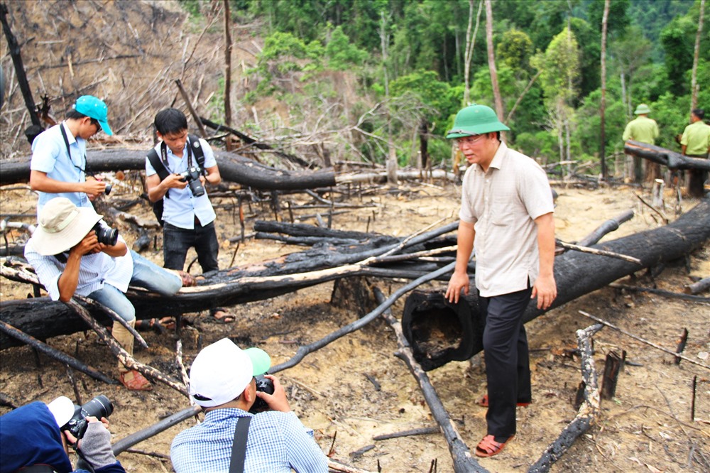 Ông Lê Trí Thanh - Phó Chủ tịch tỉnh Quảng Nam sau khi kiểm tra thực tế đã chỉ đạo điều tra, xử lý nghiêm vụ phá rừng quy mô lớn này. Ảnh: LP