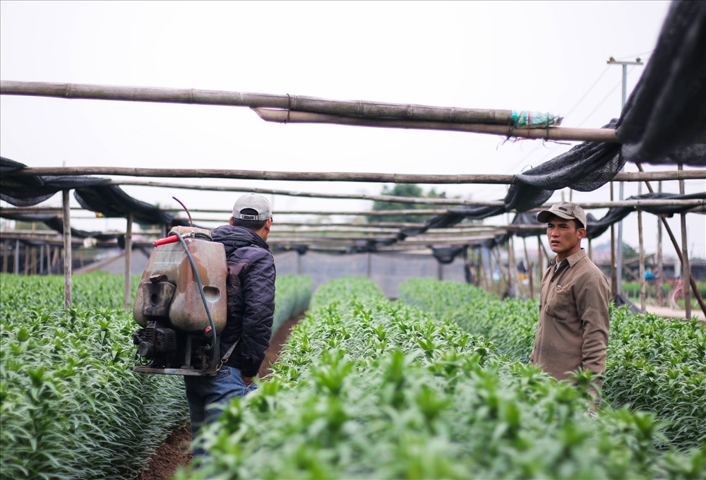 Chú Thưởng lo âu chia sẻ.