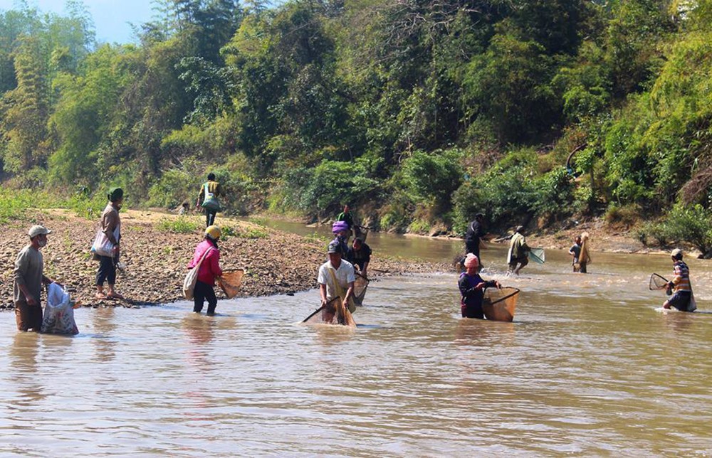 Hàng trăm người dân ra suối Nậm Núa bắt cá.
