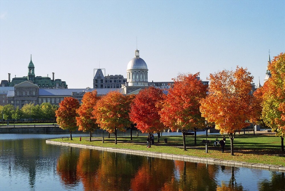 Vào mùa thu, khi sắc lá đổi màu từ xanh rồi thành vàng, thành đỏ, khiến Canada mang một diện mạo thật ấn tượng. 
