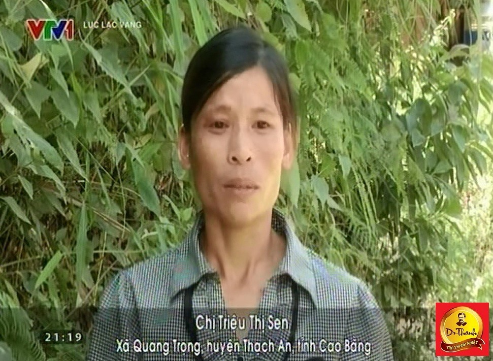 Gia đình chị Triệu Thị Sen đã có những thay đổi tích cực từ ngày nuôi bò