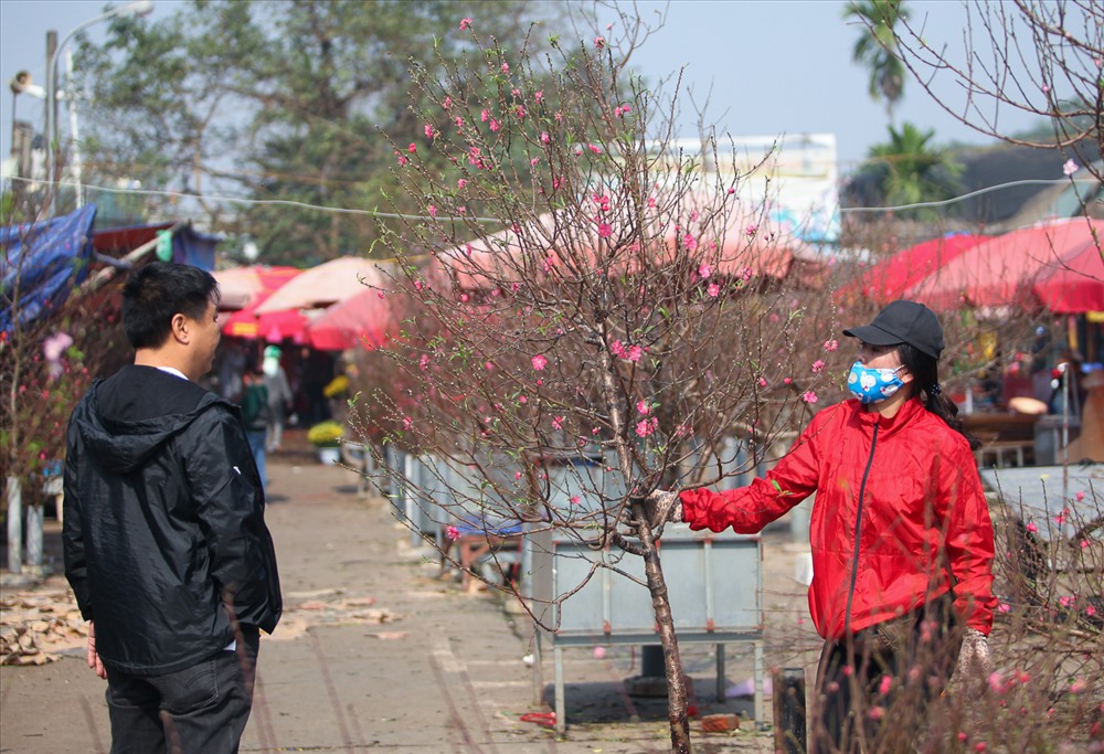 Hoa đào đã bắt đầu xuất hiện ở chợ Quảng Bá. Một cành đào bích được bán vào đầu tháng Chạp với giá 700.000 đồng.