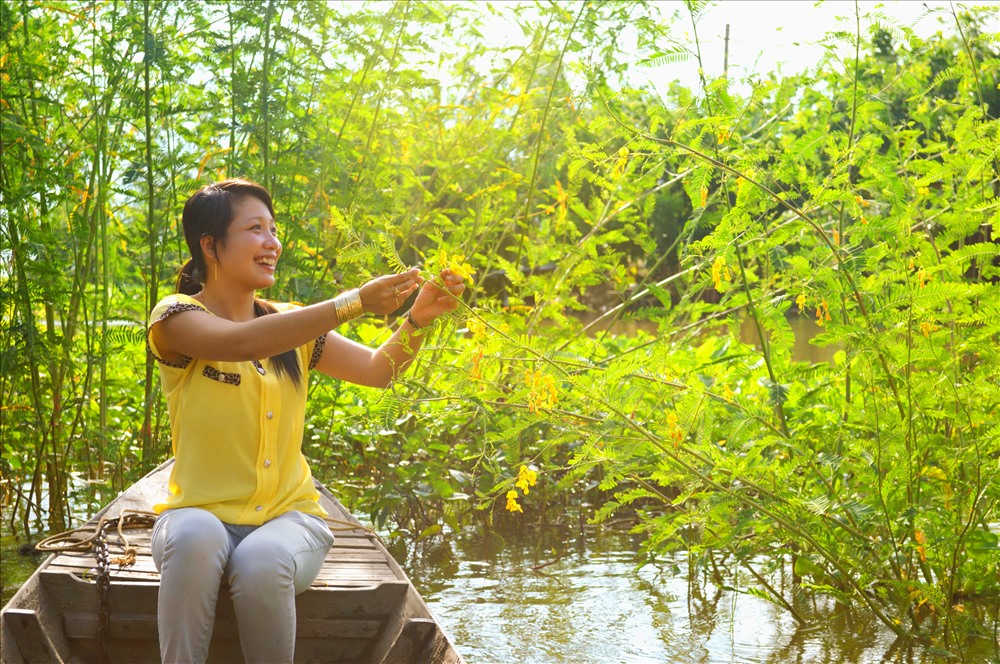 Hái bông điên điển - đặc sản mùa nước nổi ở An Giang