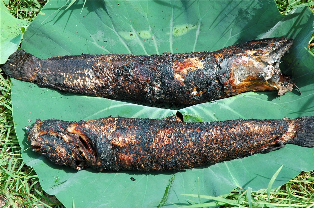 Cá lóc nướng trui - món ăn đặc sản của An Giang