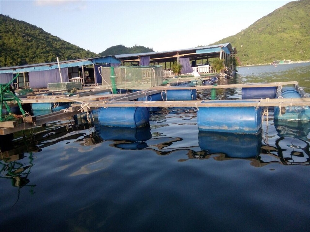 Các ô lưới nuôi, nhốt các loại cá, hải sản để phục vụ khách trên bè, nhà hàng nổi ở vịnh Vũng Rô. 