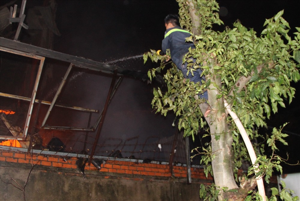 Một chiến sĩ Cảnh sát PCCC leo lên cây đưa nước qua tường cao ngăn đám cháy lan sang nhà dân.