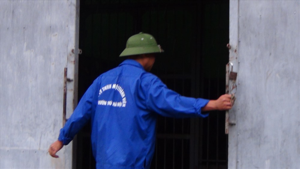 Đúng 8g sáng ngày 10.10, anh Nguyễn Quang Phúc - Tổ trưởng Tổ Thú dữ mở cánh cửa sắt cao gấp hai đầu người đi vào khu vực nuôi nhốt thú.