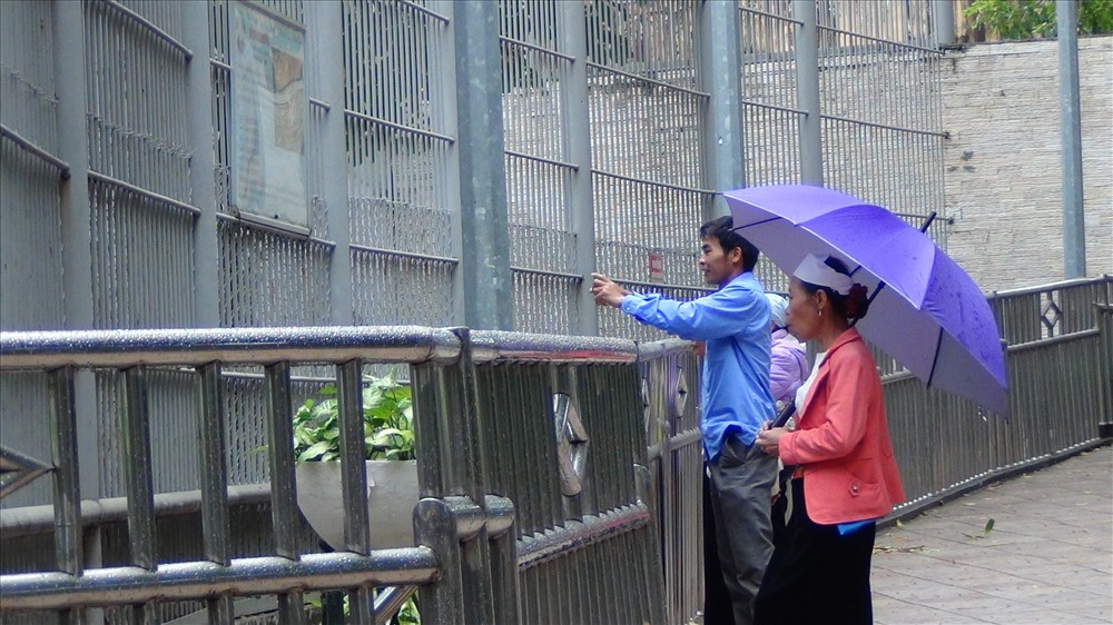 Nhờ thực hiện đầy đủ các yêu cầu nghiêm ngặt đó, đến nay Vườn thú Hà Nội chưa gặp sự việc nào đáng tiếc xảy ra.