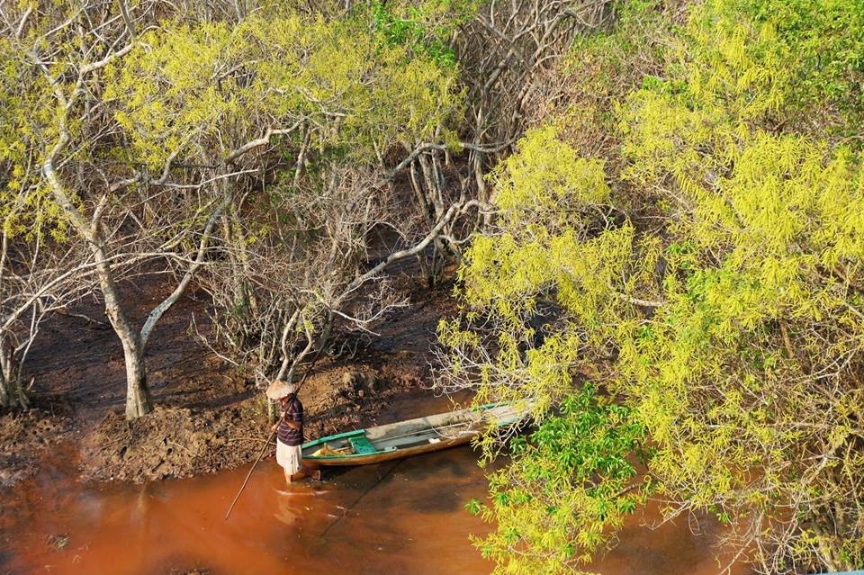 Rú Chá cách trung tâm TP.Huế chừng 15 km. Đứng ở trên đường lộ nhìn về, Rú Chá hiện lên với một ốc đảo vàng ươm giữa bốn bề nước non. Ảnh: Hạnh Nhơn