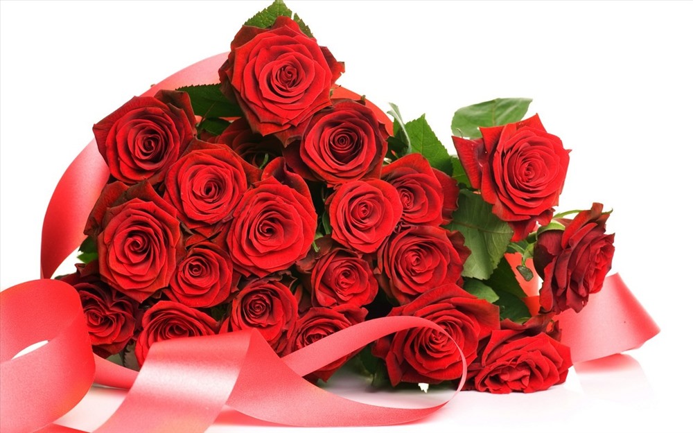 Hoa hồng biểu trưng cho tình cảm yêu thương, trìu mến, trân trọng và cả tình yêu.