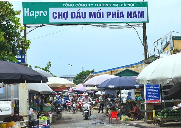 Chợ đầu mối phía Nam: Chợ nằm tại quận Hoàng Mai (Hà Nội) và hoạt động được hơn chục năm với đa dạng các mặt hàng nhưng chủ yếu là thực phẩm, rau - củ - quả, thịt, hải sản.