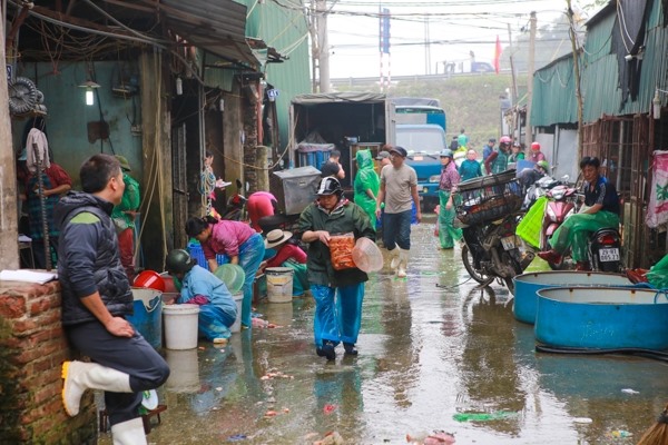 Chợ cá Yên Sở: Đây là khu chợ đầu mối chuyên cung cấp cá, tôm, cua, ốc, ngao… cho các đại lý cấp 1, các nhà hàng trong nội thành Hà Nội.