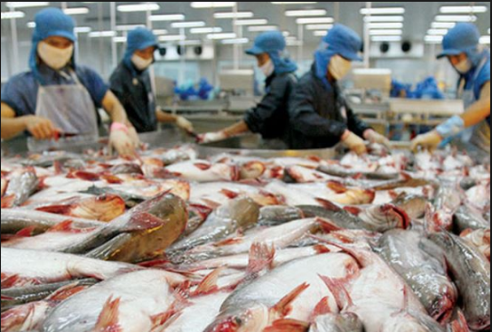 Sản phẩm cá sông Đà được giới thiệu và bày bán đã được Viện kiểm nghiệm An toàn vệ sinh thực phẩm quốc gia lấy mẫu và công bố kết quả kiểm nghiệm. Kết quả này, một lần nữa khẳng định chất lượng mặt hàng cá Sông Đà, tạo niềm tin cho người tiêu dùng.
