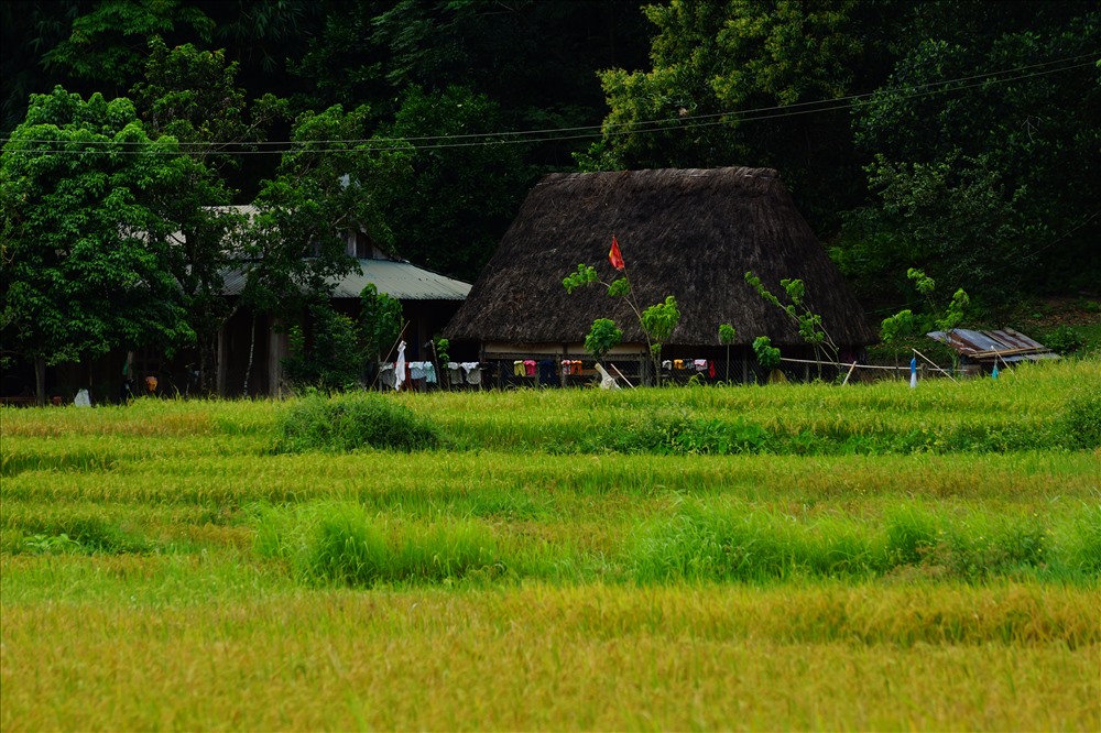 Mái nhà Gươl của đồng bào Cơ-tu. Ảnh: Đ.V