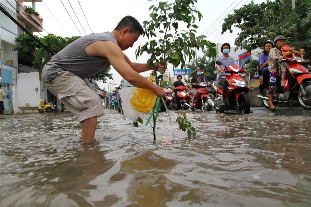 Một người dân sống trên đường Huỳnh Tấn Phát cắm cành cây để cảnh báo đoạn đường ngập sâu cho người đi đường tránh.
