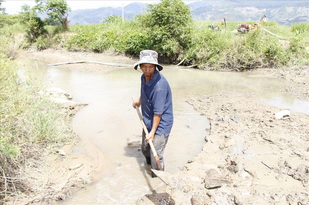 Nông dân Ninh Thuận đang đối mặt với tình trạng thiếu nước sản xuất.
